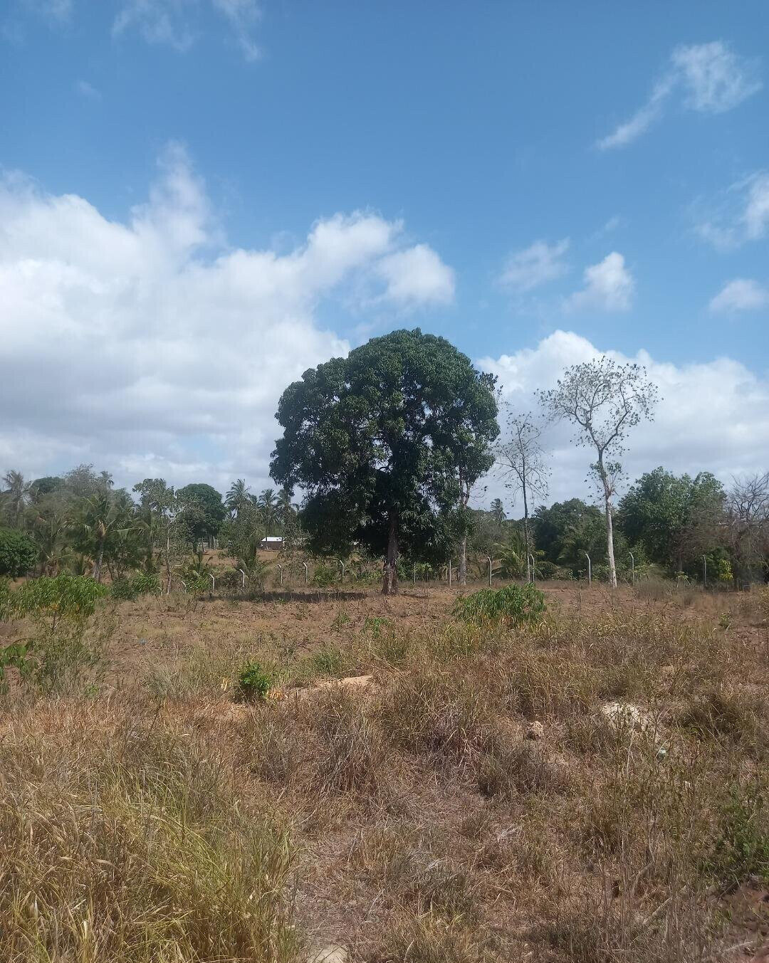 2-Acre Plot at KSh 7.5M