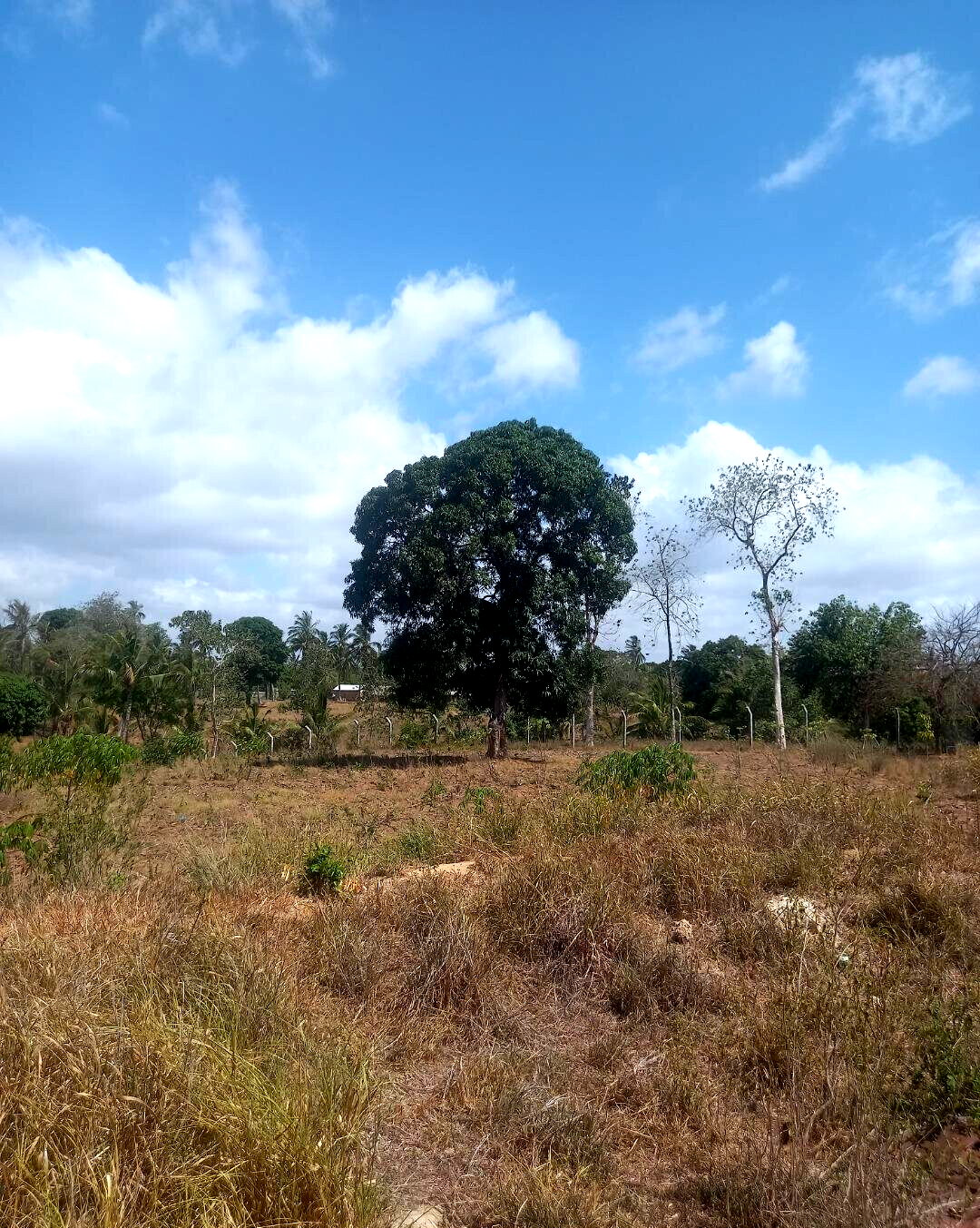 2-Acre Plot at KSh 7.5M