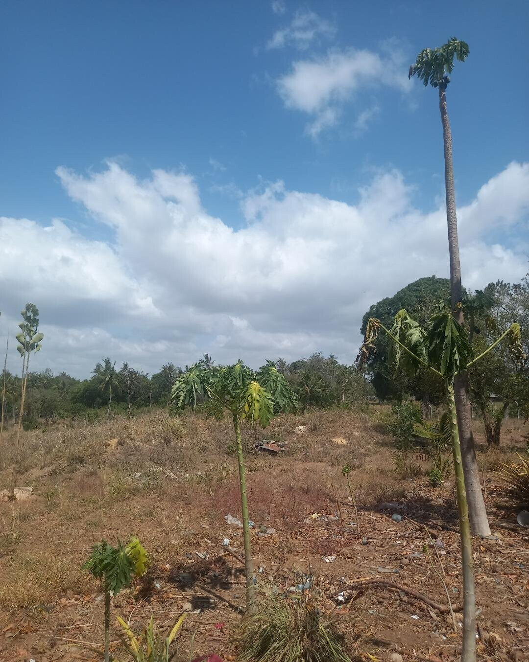 2-Acre Plot at KSh 7.5M