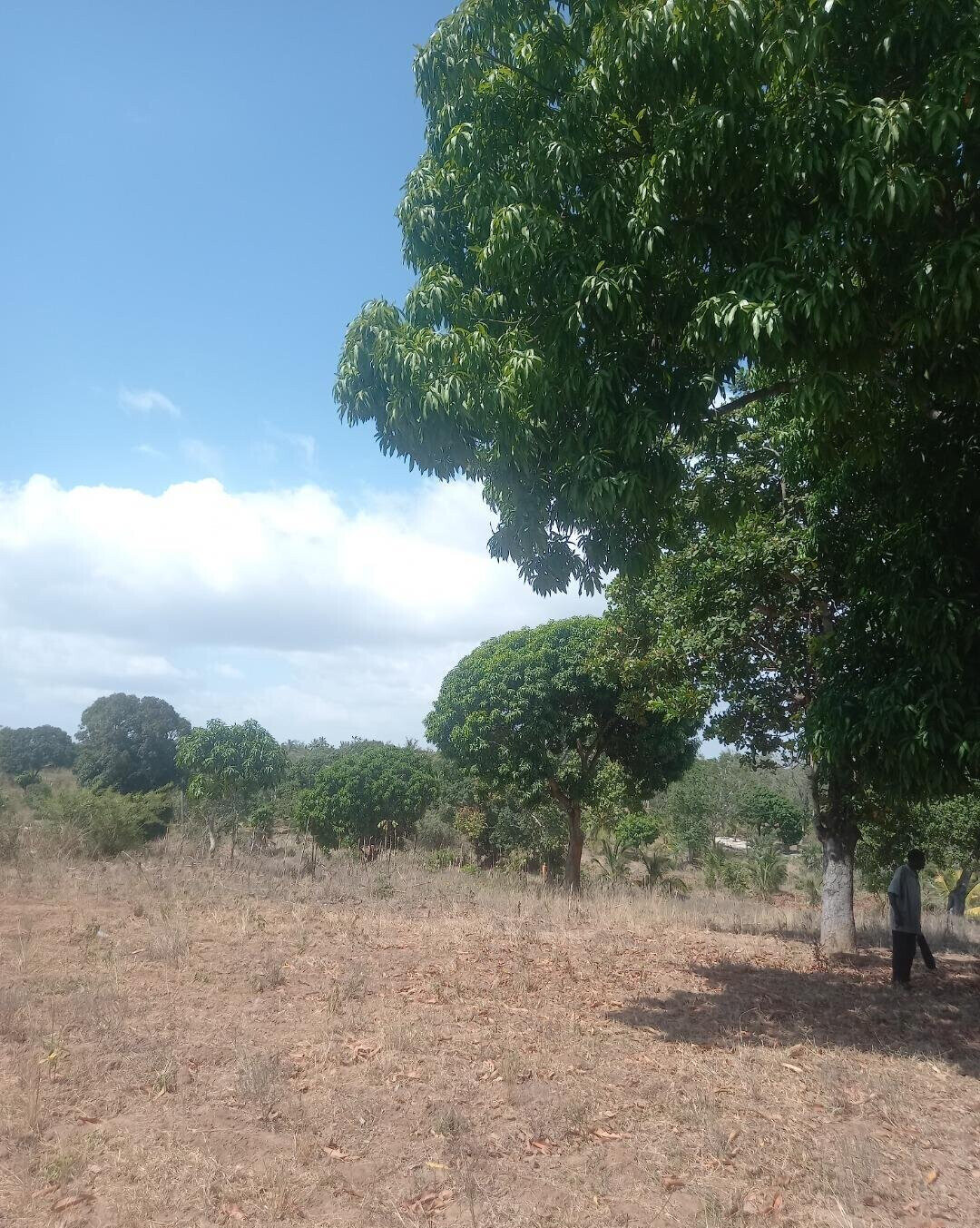 2-Acre Plot at KSh 7.5M