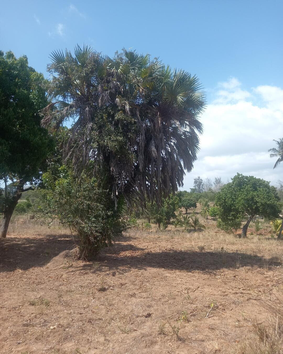 2-Acre Plot at KSh 7.5M