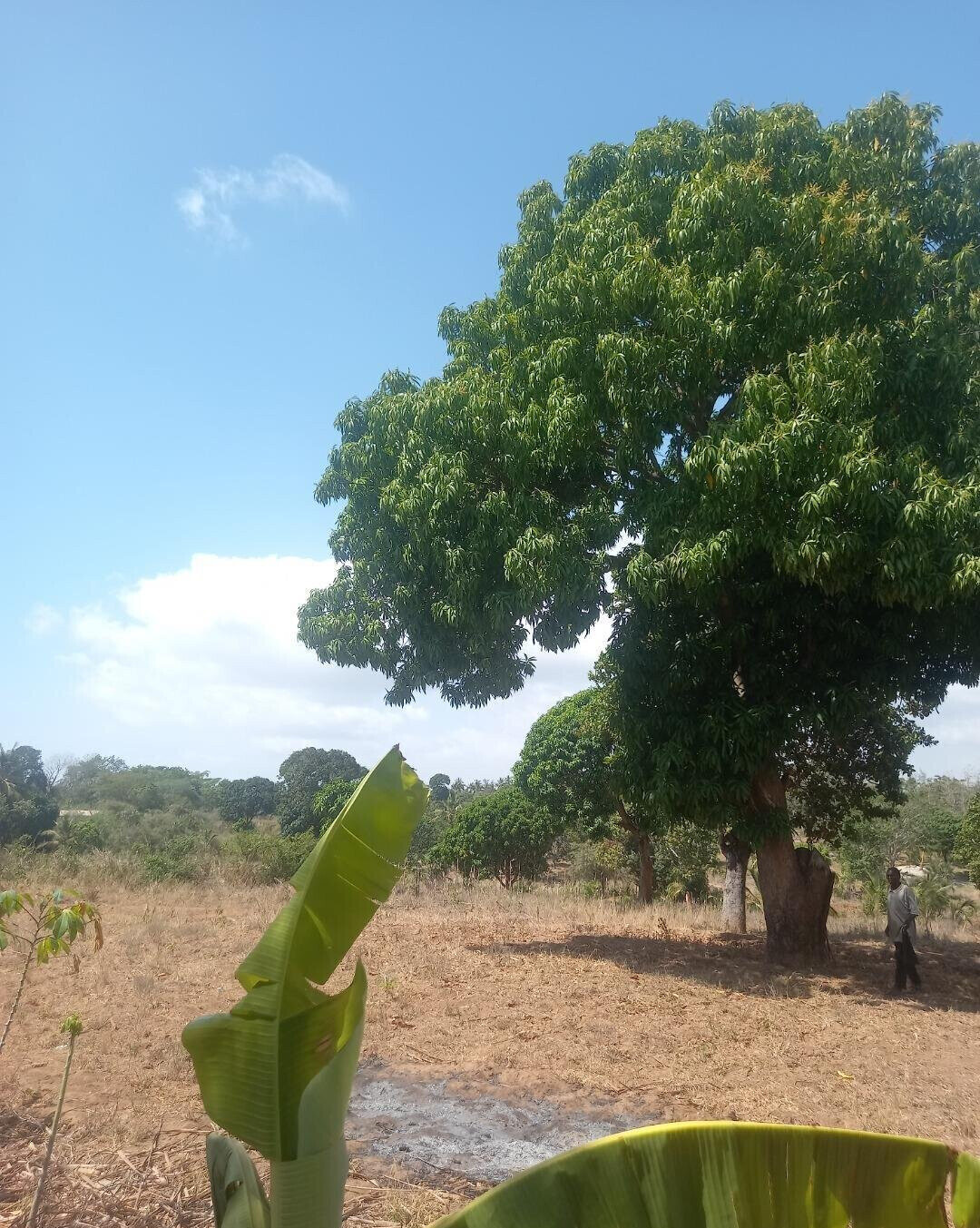 2-Acre Plot at KSh 7.5M