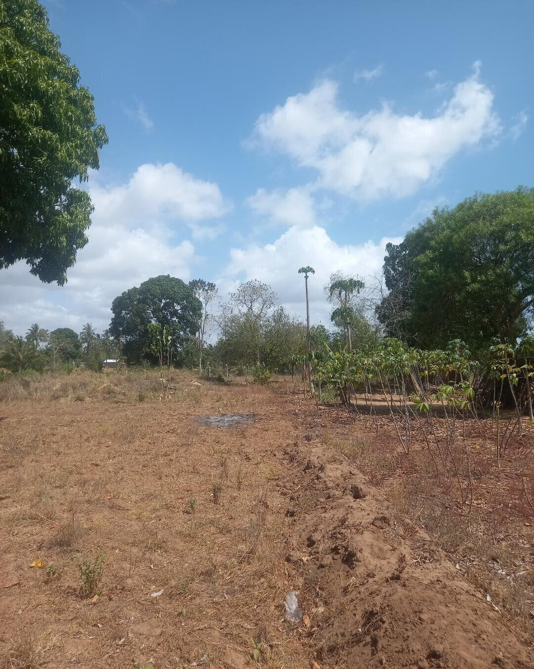 2-Acre Plot at KSh 7.5M