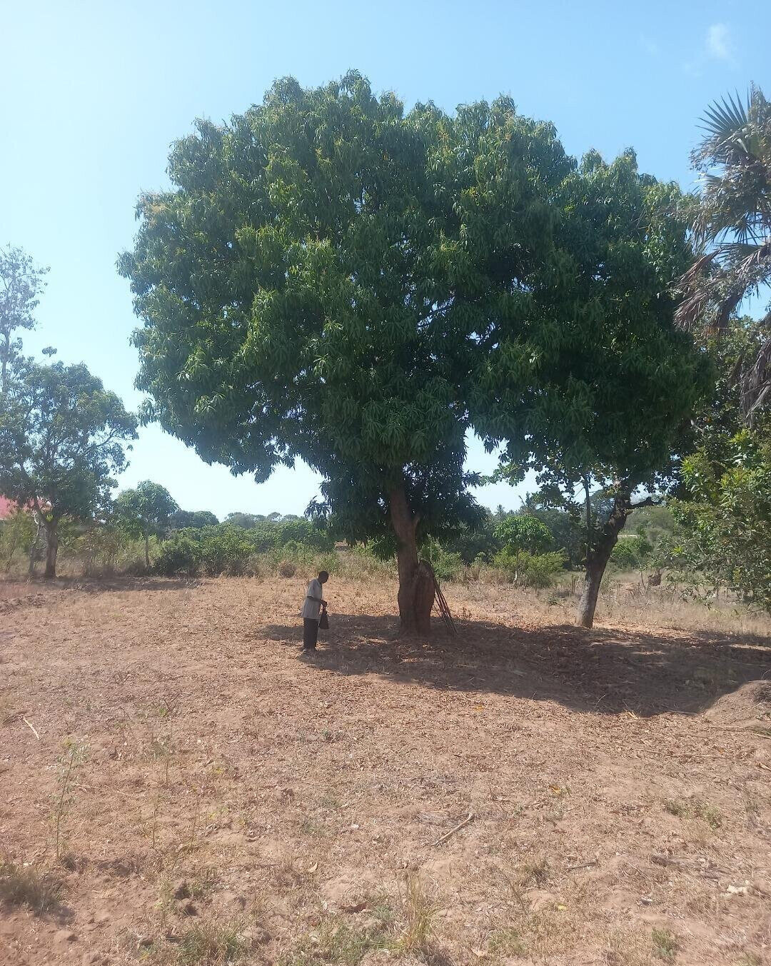 2-Acre Plot at KSh 7.5M