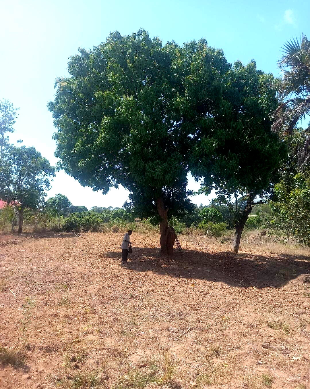 2-Acre Plot at KSh 7.5M