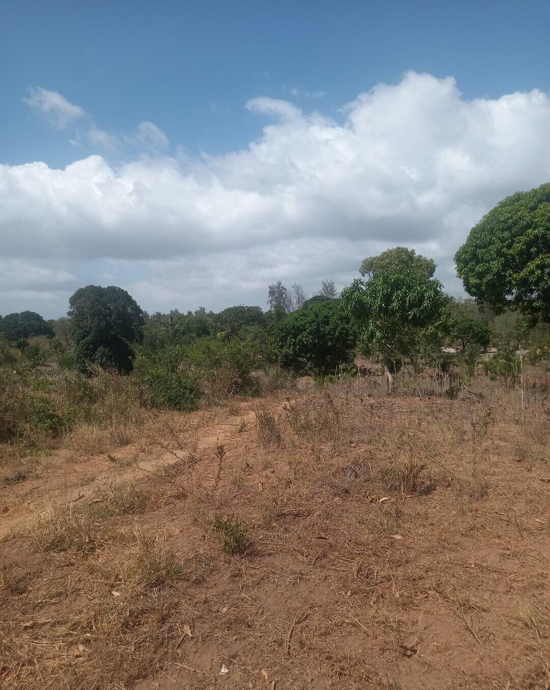 2-Acre Plot at KSh 7.5M