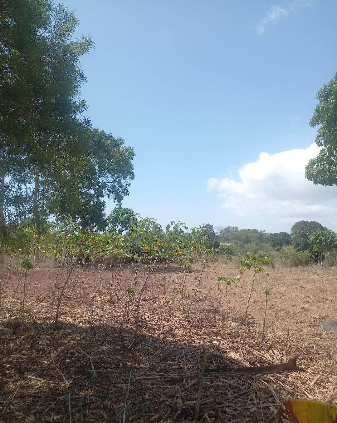 2-Acre Plot at KSh 7.5M