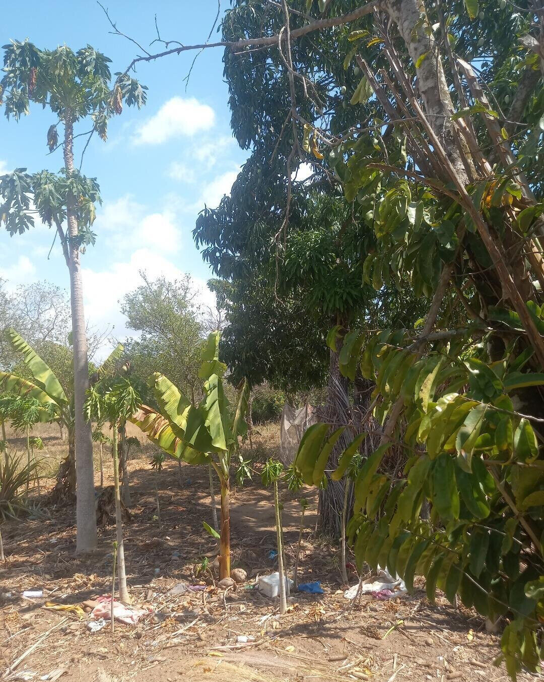 2-Acre Plot at KSh 7.5M