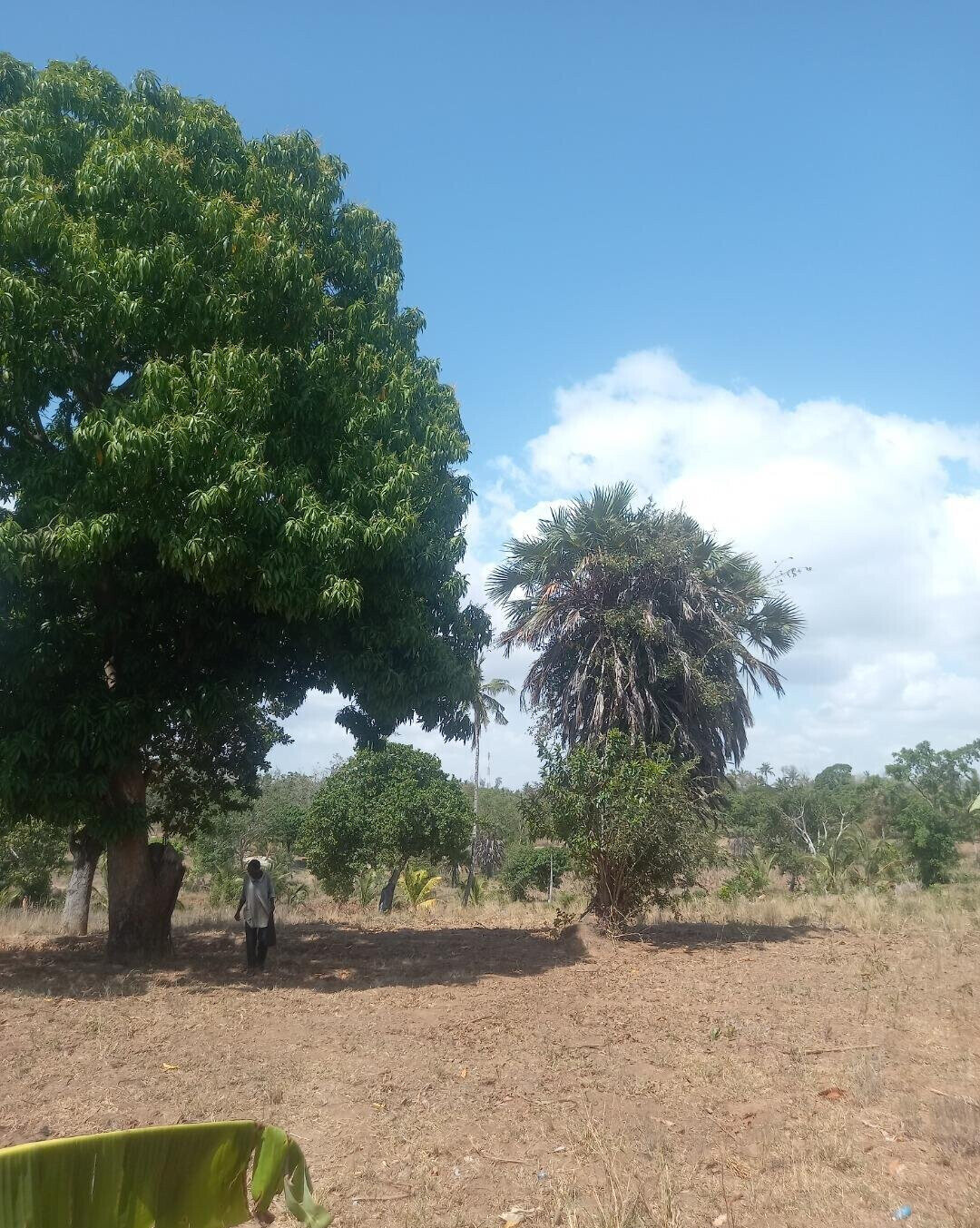 2-Acre Plot at KSh 7.5M