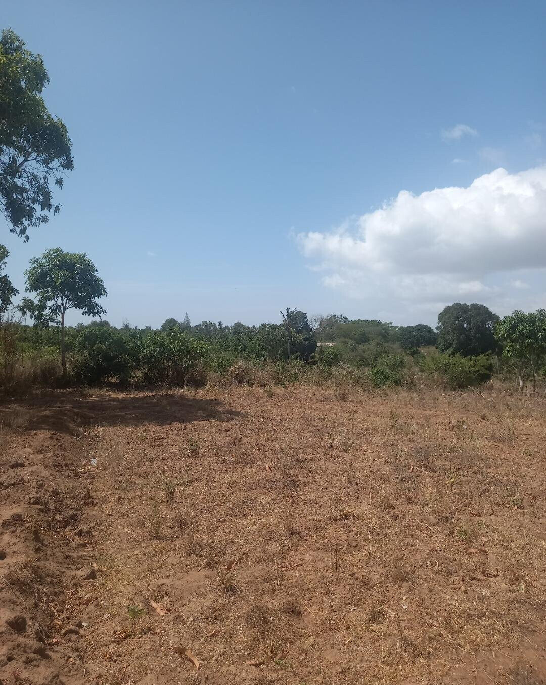2-Acre Plot at KSh 7.5M