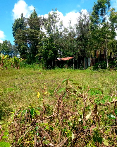 Pet Friendly Quarter Acre in Ol Keri