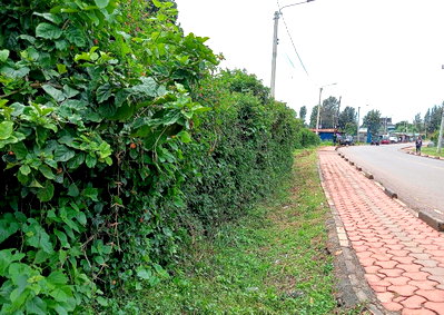 2-Acre Plot in Riruta Kabiria