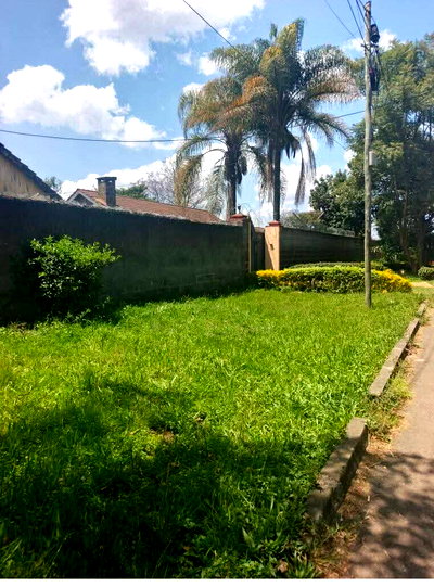 Quarter Acre Plot with Garden at KSh 30M