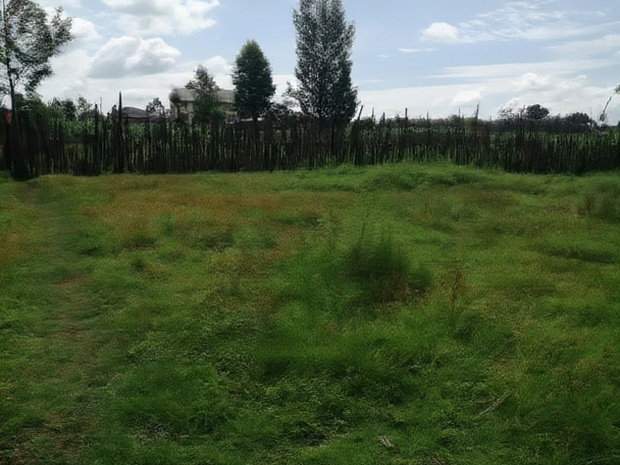 Plots for Sale Fronting Tarmac Opposite Wambugu Farm-Nyeri