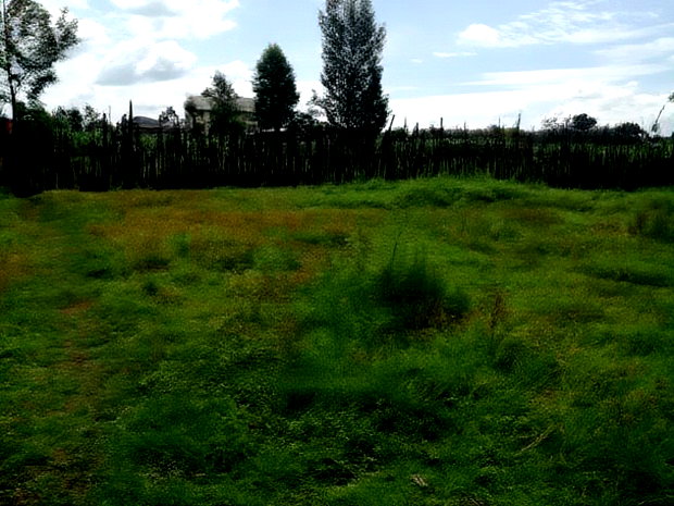 Plots for Sale Fronting Tarmac Opposite Wambugu Farm-Nyeri