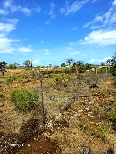 Own a Piece of Diani-Galu Prime 50by100ft - Image 4