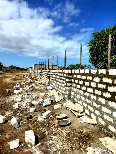 Own a Piece of Diani-Galu Prime 50by100ft - Image 6