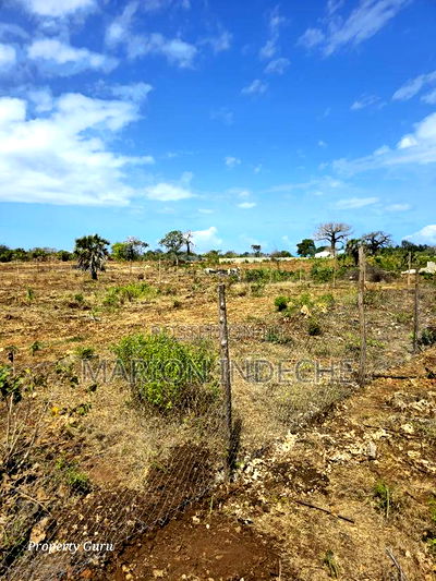 Own a Piece of Diani-Galu Prime 50by100ft - Image 5