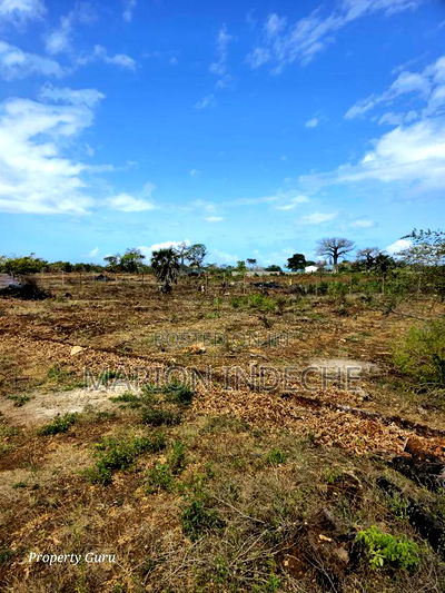 Own a Piece of Diani-Galu Prime 50by100ft - Image 8