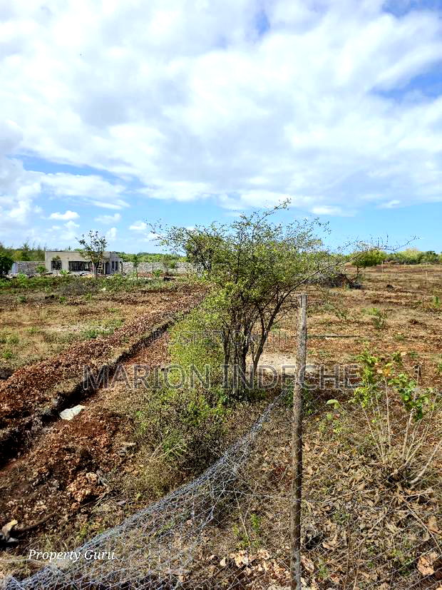 Own a Piece of Diani-Galu Prime 50by100ft