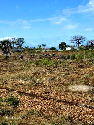 Own a Piece of Diani-Galu Prime 50by100ft - Image 7