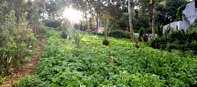 Eigth Acre Plot for Sale in Ngong Matasia. - Image 1