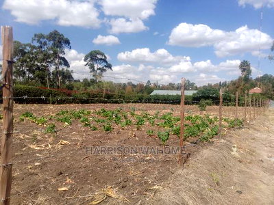 Ngong, Matasia, Memusi Road. 3/4 Acre Plots for Sale. - Image 2