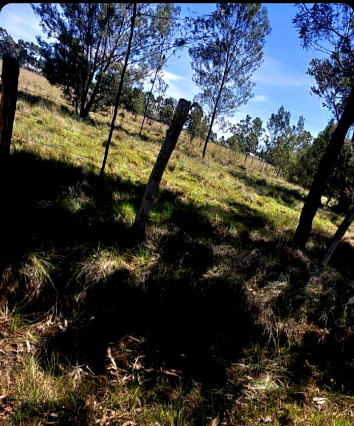 28-Acre Garden Estate with Parking - Nyandarua