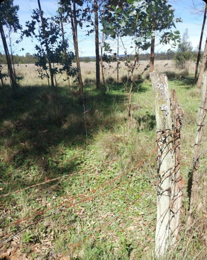 28-Acre Garden Estate with Parking - Nyandarua