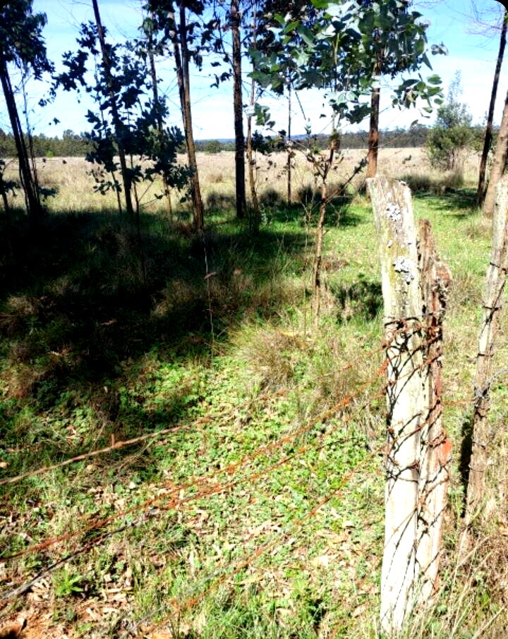 28-Acre Garden Estate with Parking - Nyandarua