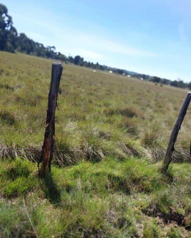 28-Acre Garden Estate with Parking - Nyandarua