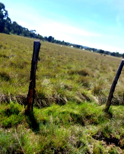 28-Acre Garden Estate with Parking - Nyandarua