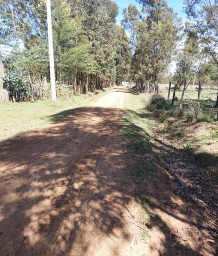 28-Acre Garden Estate with Parking - Nyandarua