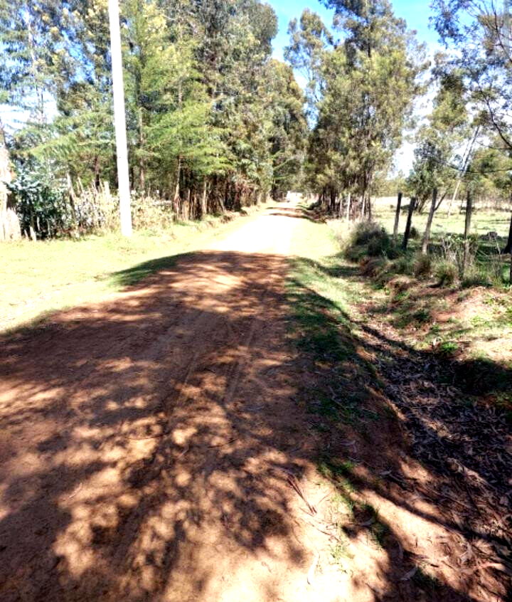 28-Acre Garden Estate with Parking - Nyandarua