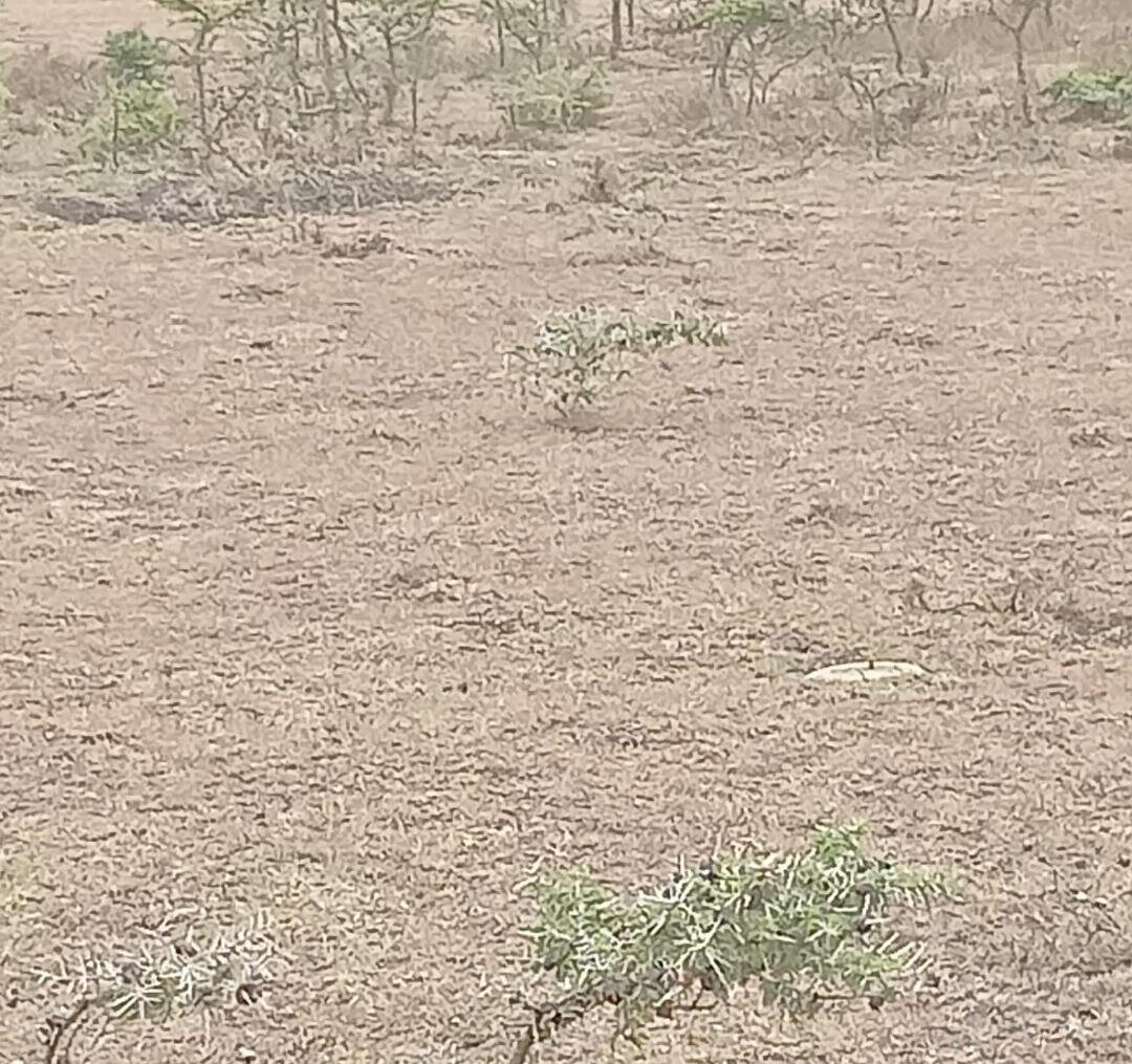 50-Acre Land at KSh 4.5M