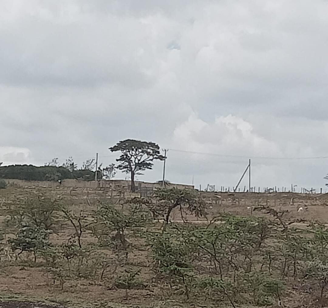 50-Acre Land at KSh 4.5M