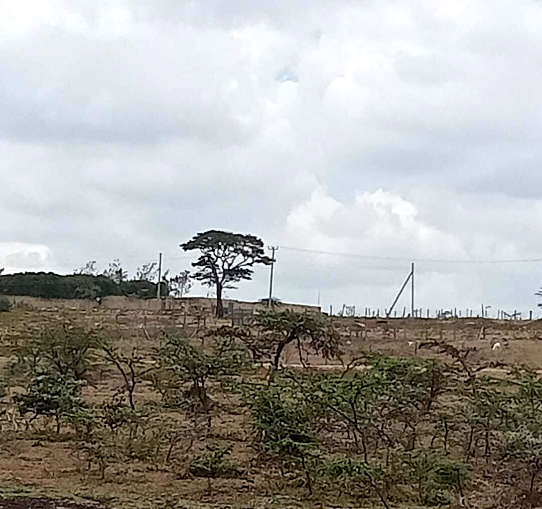 50-Acre Land at KSh 4.5M