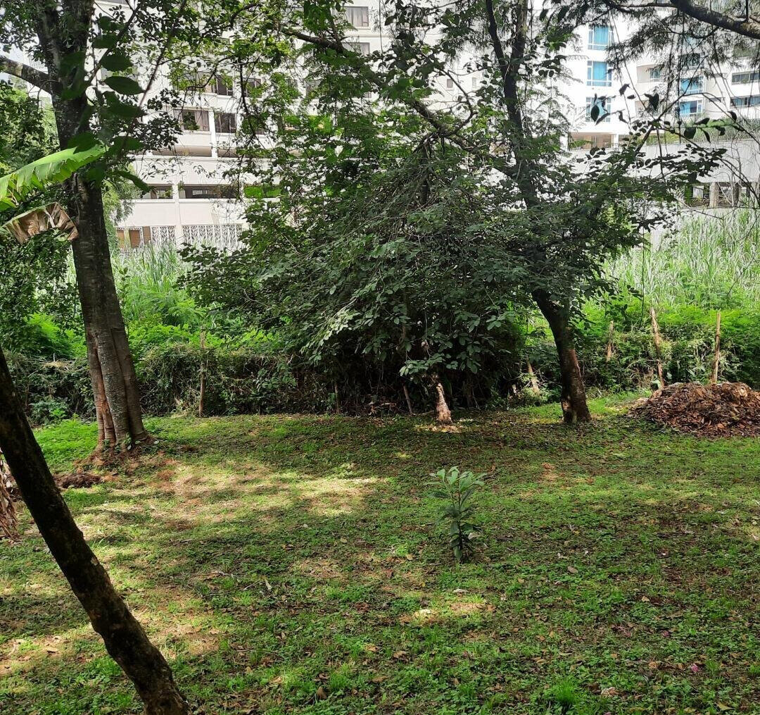 2-Acre Westlands Plot for KSh 790M