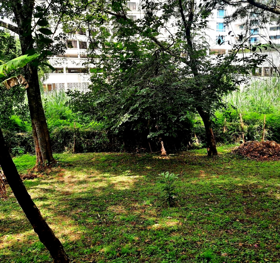 2-Acre Westlands Plot for KSh 790M