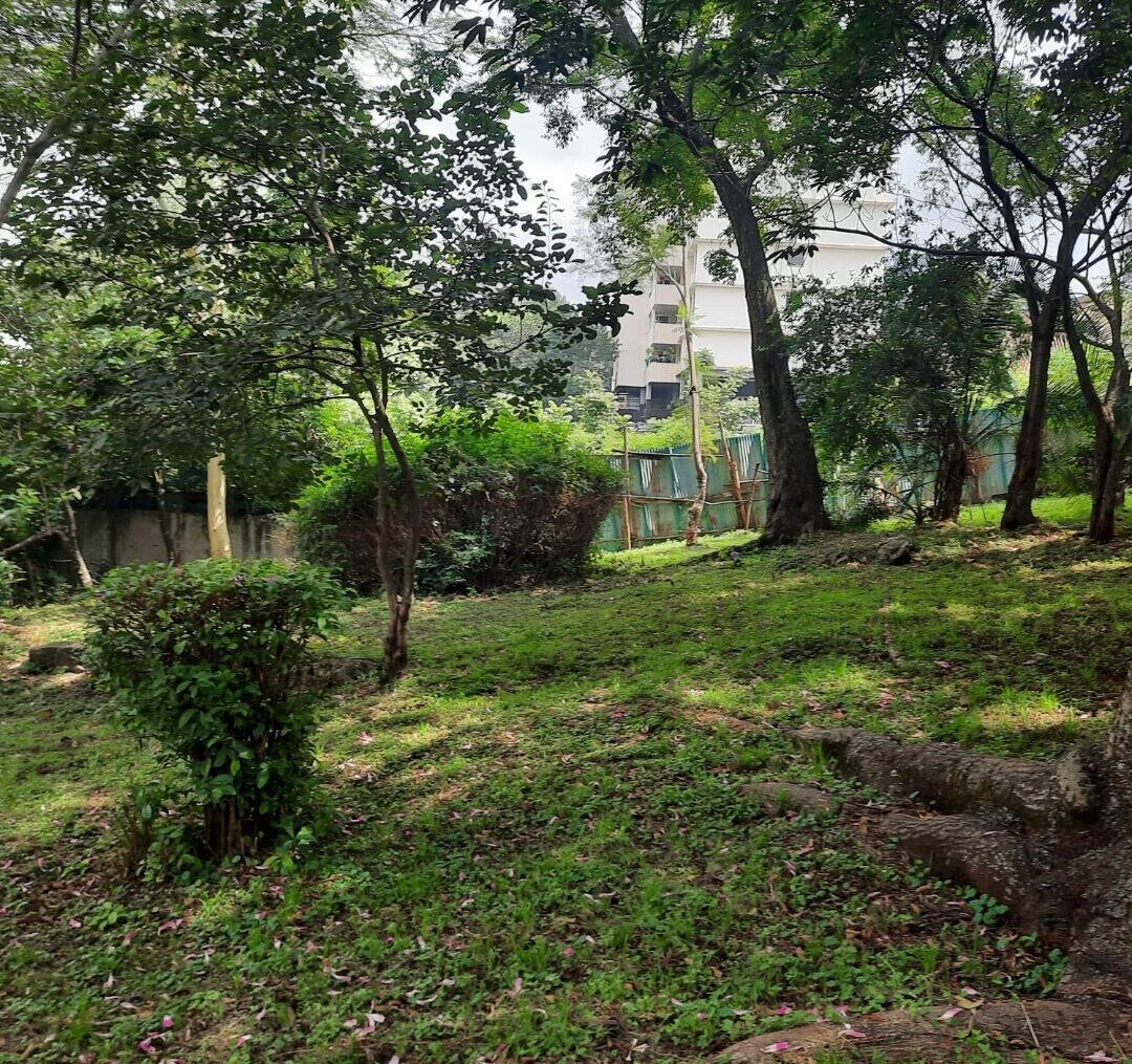 2-Acre Westlands Plot for KSh 790M