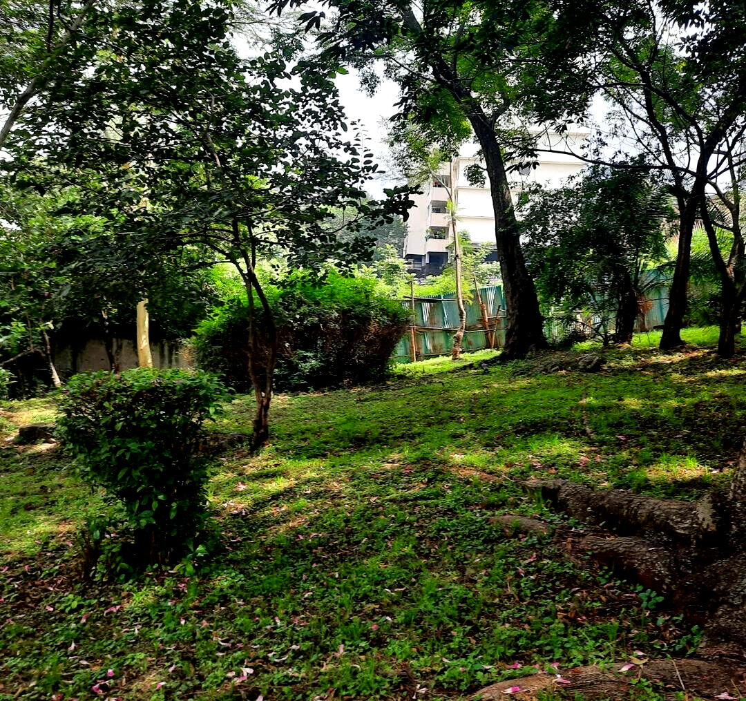 2-Acre Westlands Plot for KSh 790M