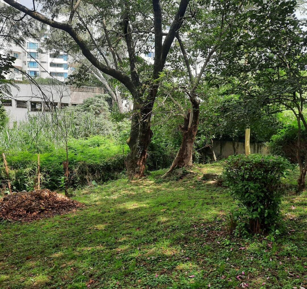 2-Acre Westlands Plot for KSh 790M