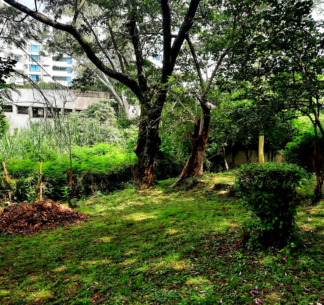 2-Acre Westlands Plot for KSh 790M