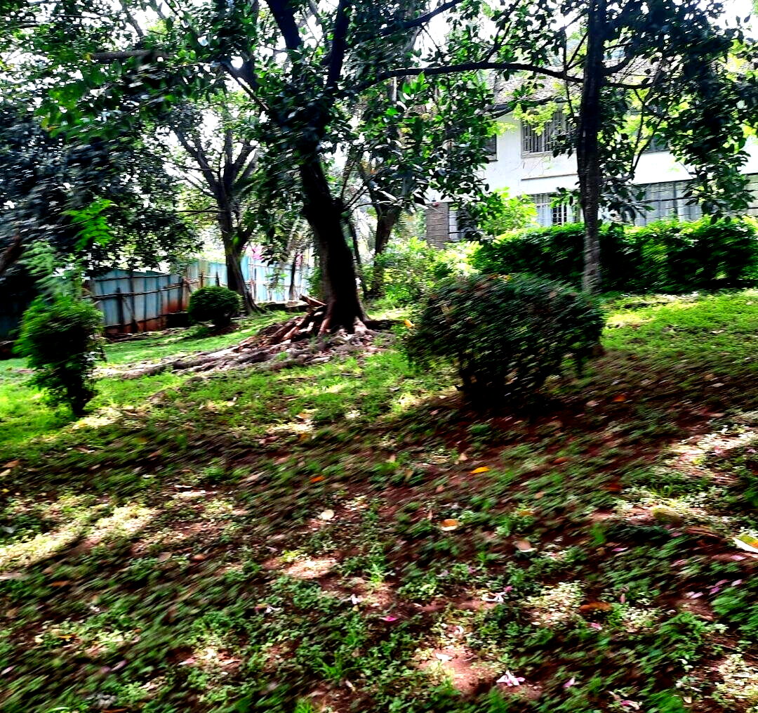 2-Acre Westlands Plot for KSh 790M