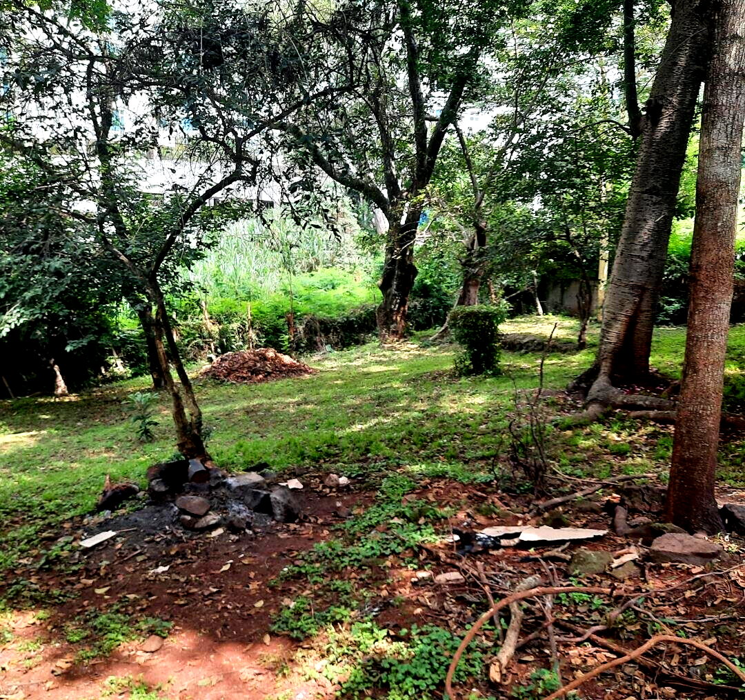 2-Acre Westlands Plot for KSh 790M