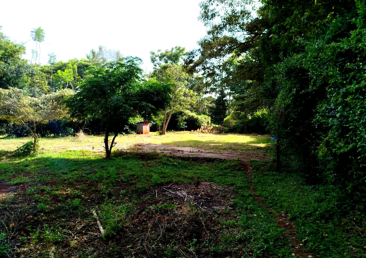 Half Acre in Karen at KSh 45M