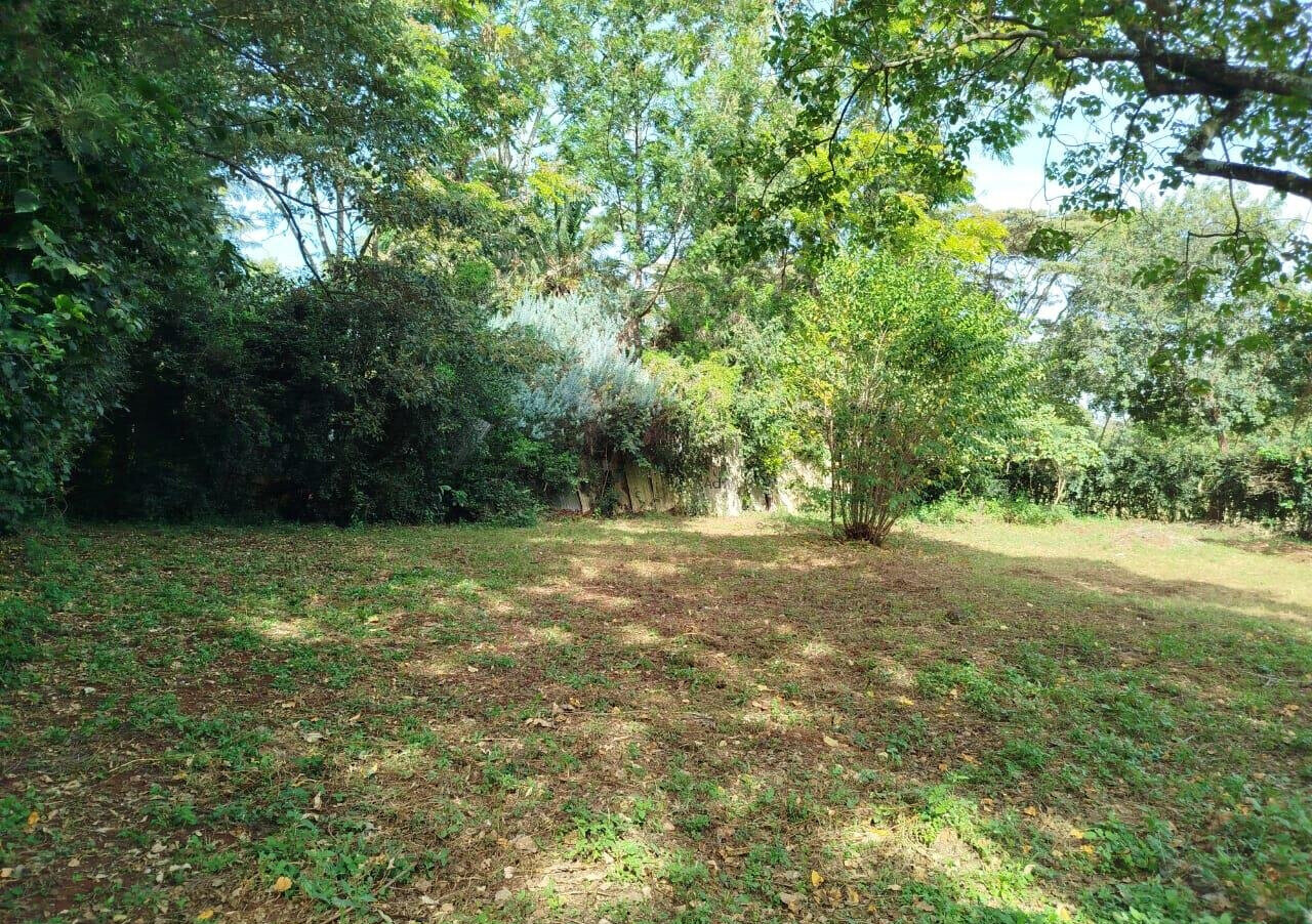 Half Acre in Karen at KSh 45M