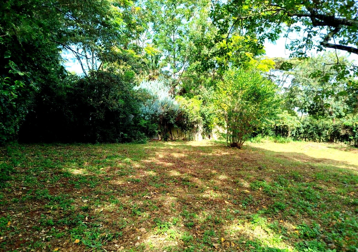 Half Acre in Karen at KSh 45M