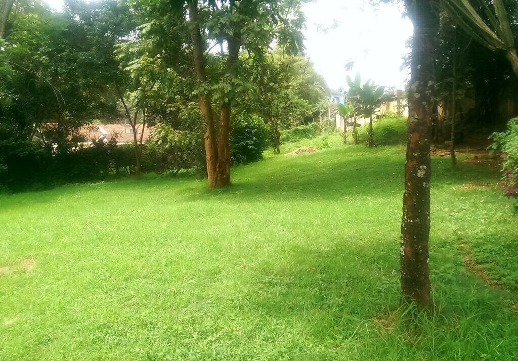1 Acre Lavington Plot with Garden