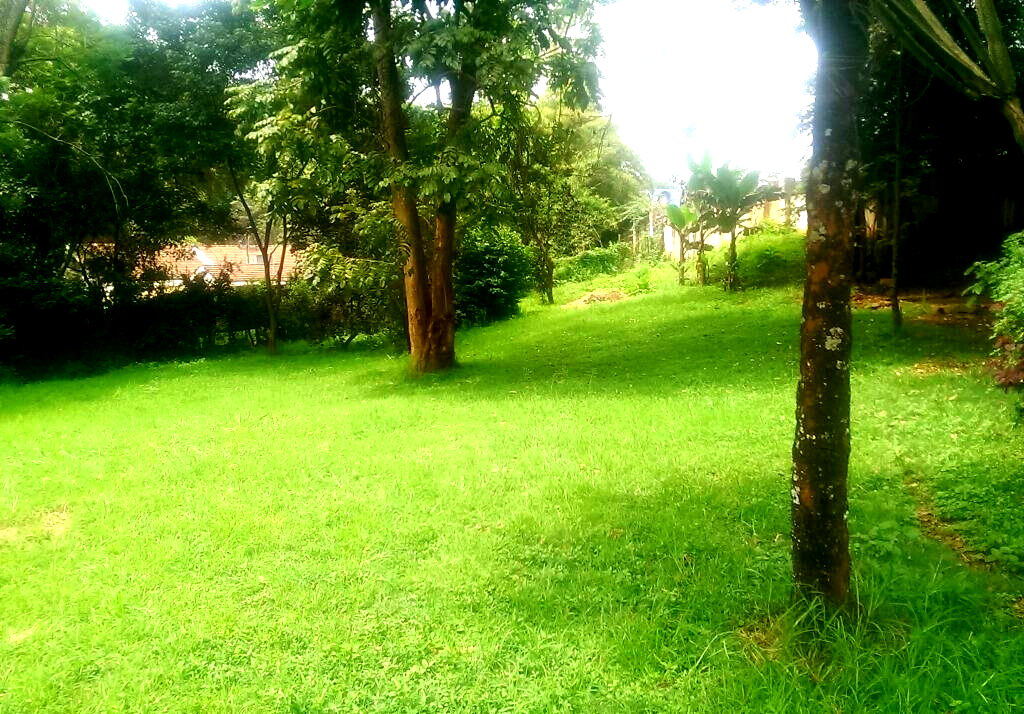 1 Acre Lavington Plot with Garden